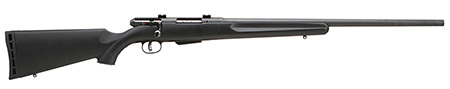 Savage - 25 - .17 Hornet for sale