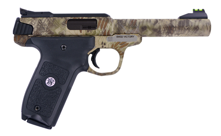 Smith & Wesson - SW22 - .22LR for sale