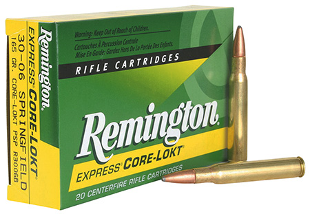 REM 3006 165GR PSP CL 20/200 - for sale
