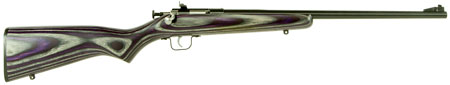 CRICKETT RIFLE G2 22LR BLUED/PURPLE LAMINATE - for sale