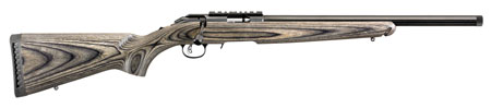 Ruger - American - .22LR for sale