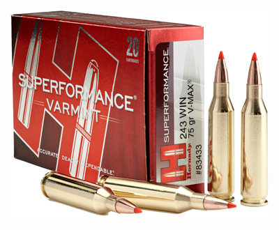 Hornady - Superformance Varmint - .243 Win for sale