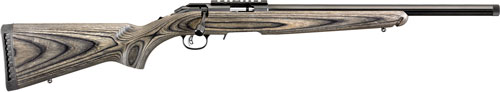 Ruger - American - .22LR for sale