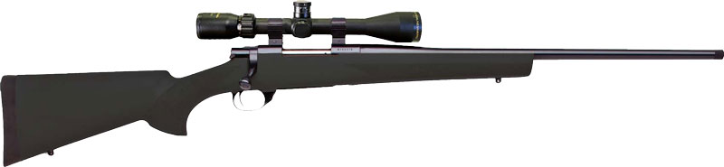 HOWA - 1500 - .243 Win for sale