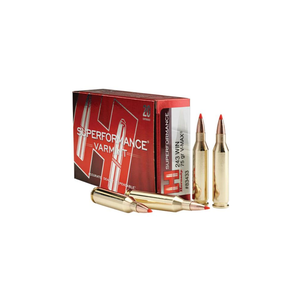 Hornady - Superformance Varmint - .243 Win for sale