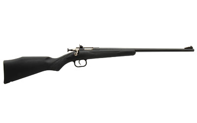 CRICKETT RIFLE G2 .22LR BLUED/BLACK SYNTHETIC - for sale