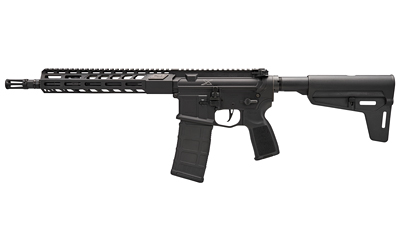 Sig Sauer - SIGM400 - 5.56x45mm NATO for sale