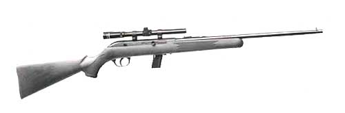 SAVAGE 64FXP 22LR 21" BBL BLUED/BLACK SYN W/4X15 SCOPE - for sale