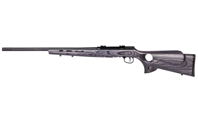 SAVAGE A17 17HMR HVY BBL 22" ACCU TGR BLU/GRY LAM T-HOLE - for sale
